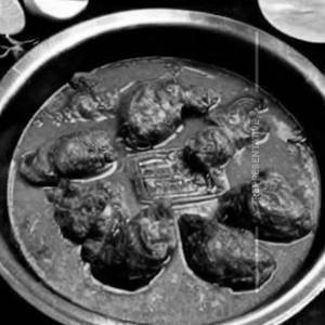 Oyster Fish (Bhetki)