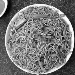 Veg Schezwan Noodles