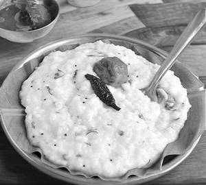 Curd Rice