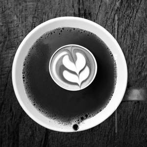 Mocha