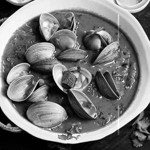 Clams