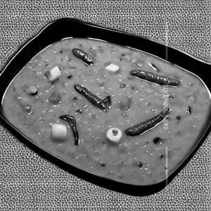 Sambar  Rice