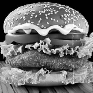 Spicy Chicken Burger