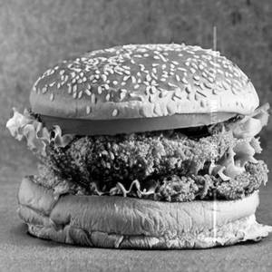 Mushroom burger