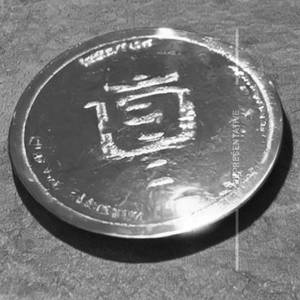 Veg Gold Coin