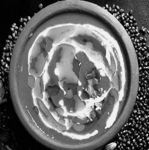 Dal Bhukhara [Chef Spl]