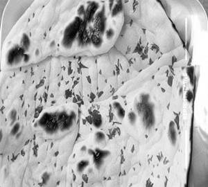 Plain Naan