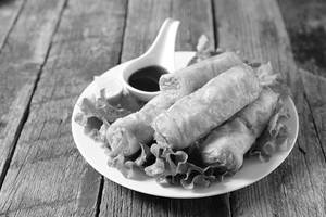 Chicken Spring Roll
