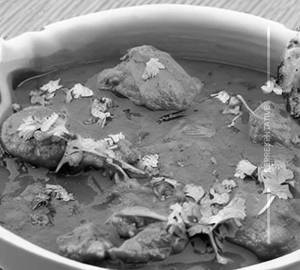 Chicken Munchurian [Full] Dry