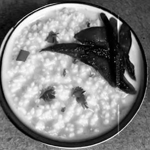 Curd Rice