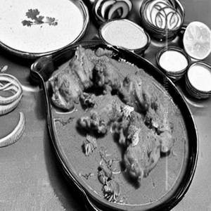 Chiken Malai Tandoori [Full]