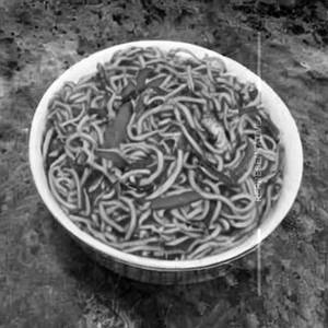 Desi Chicken Noodle Doodle Doo