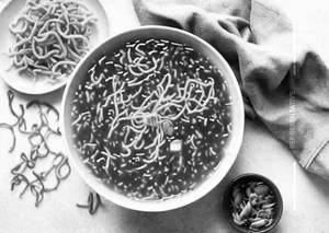 Chicken Manchow Soup