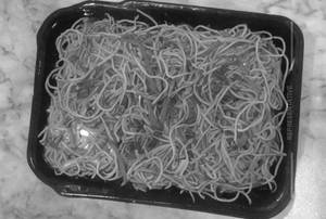 Egg Hakka Noodles 