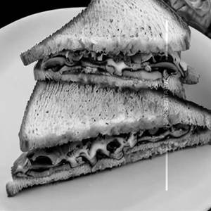 Mushroom Cheese Sandwitch