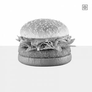 Mexican Burger