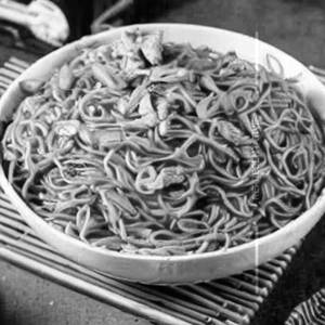 Chicken Shanghai Noodles