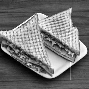 Double Cheese Spicy Sandwitch