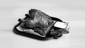 Grill Chicken (full)