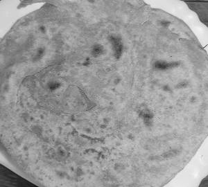 Aloo Paratha
