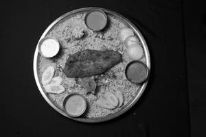 Arabian Fish Mandi