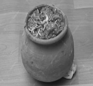 Prawns Pot Dum Biryani