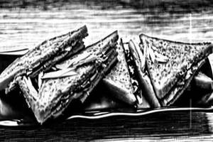 Myo Masala Toast Sandwich