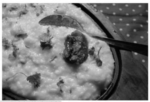 Curd Rice
