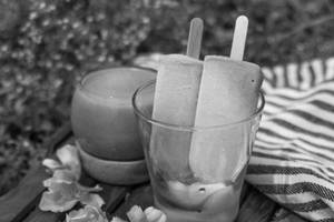 Chikoo Popsicle