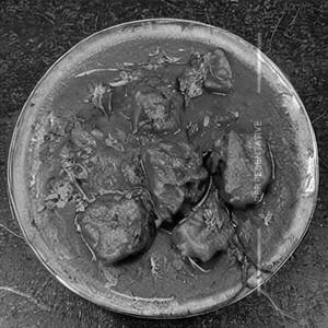 Flower bhaji [dry]