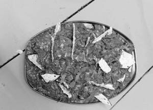 Veg jaipuri
