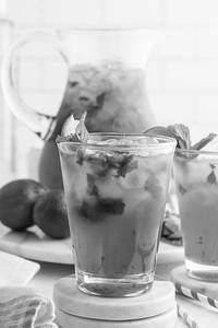 Cranberry Mojito