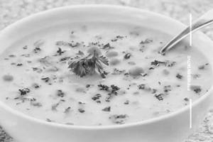 Cream of Veggie Soup
