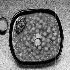 Chole Masala