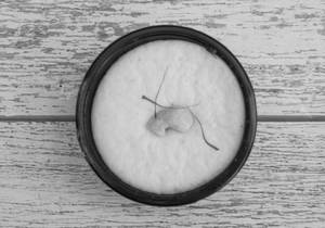 Zafrani Phirni