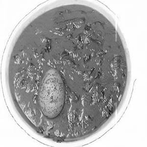 Egg Bhuj Curry