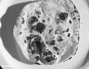 Plain tandoor roti