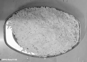 Steamed rice