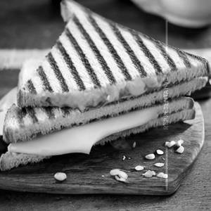Cheese Sandwich