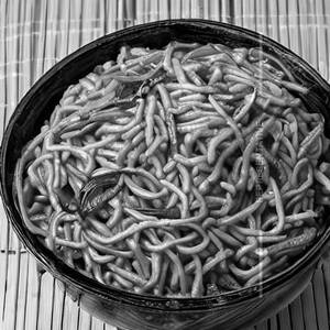 Dinosaur Noodle