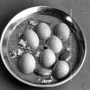 Egg ghotala