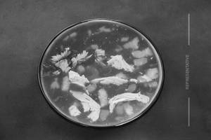 Chicken Clear Soup