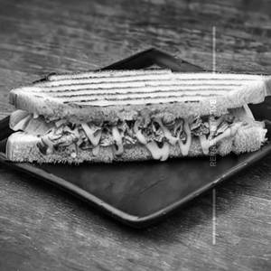 Special Grill Sandwich