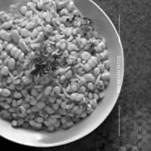 Corn Rice