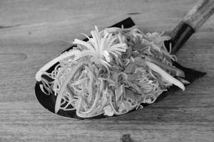 Hakka Noddels