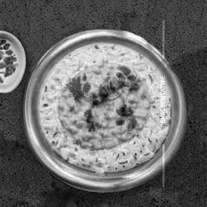 Curd Rice Tadka