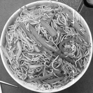 Special Veg Singapore Noodles 