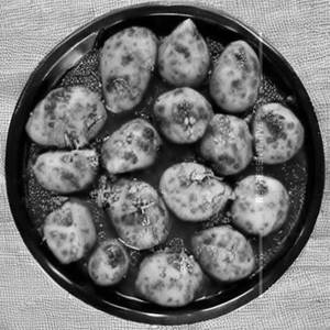 Dum Aloo Kashmiri
