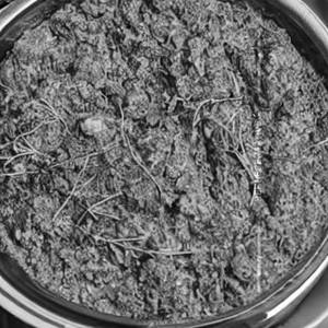 Methi Masala