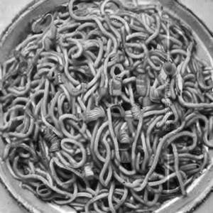 Chicken Schezwan Noodles